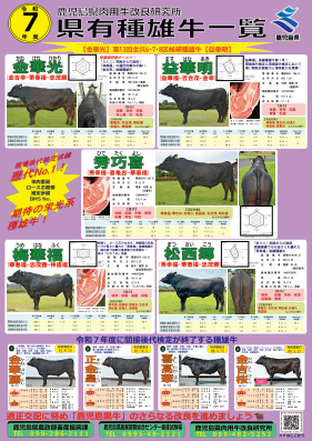 令和7年度県有種雄牛一覧ポスター