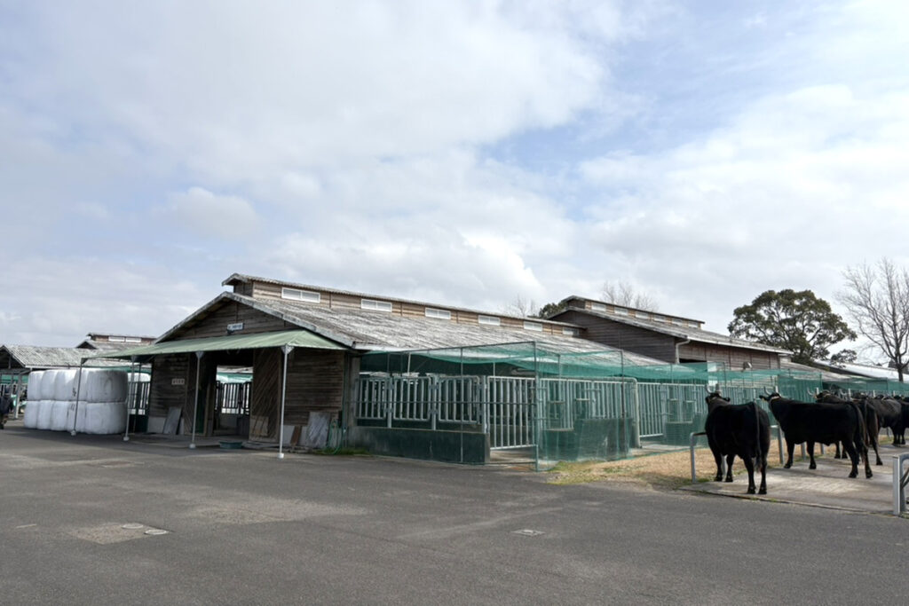 待機牛舎(外観)