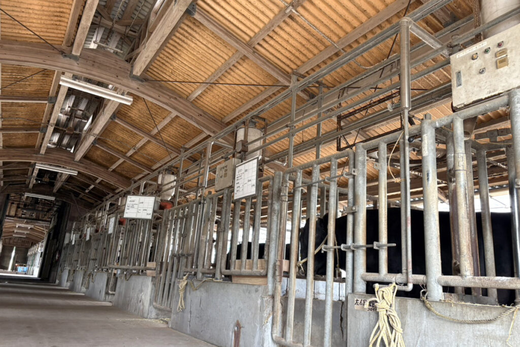 待機牛舎(内景)