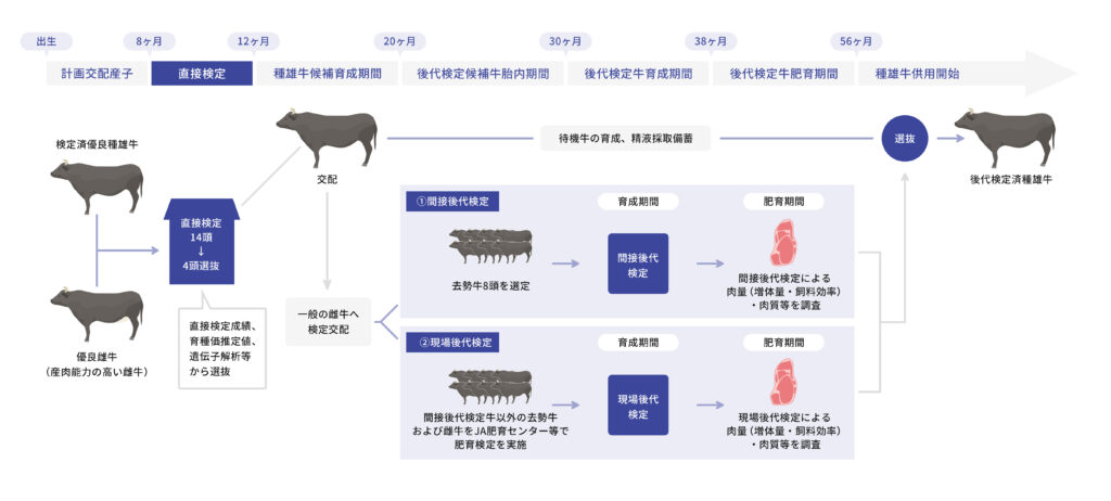 県有種雄牛造成(能力評価)のしくみ