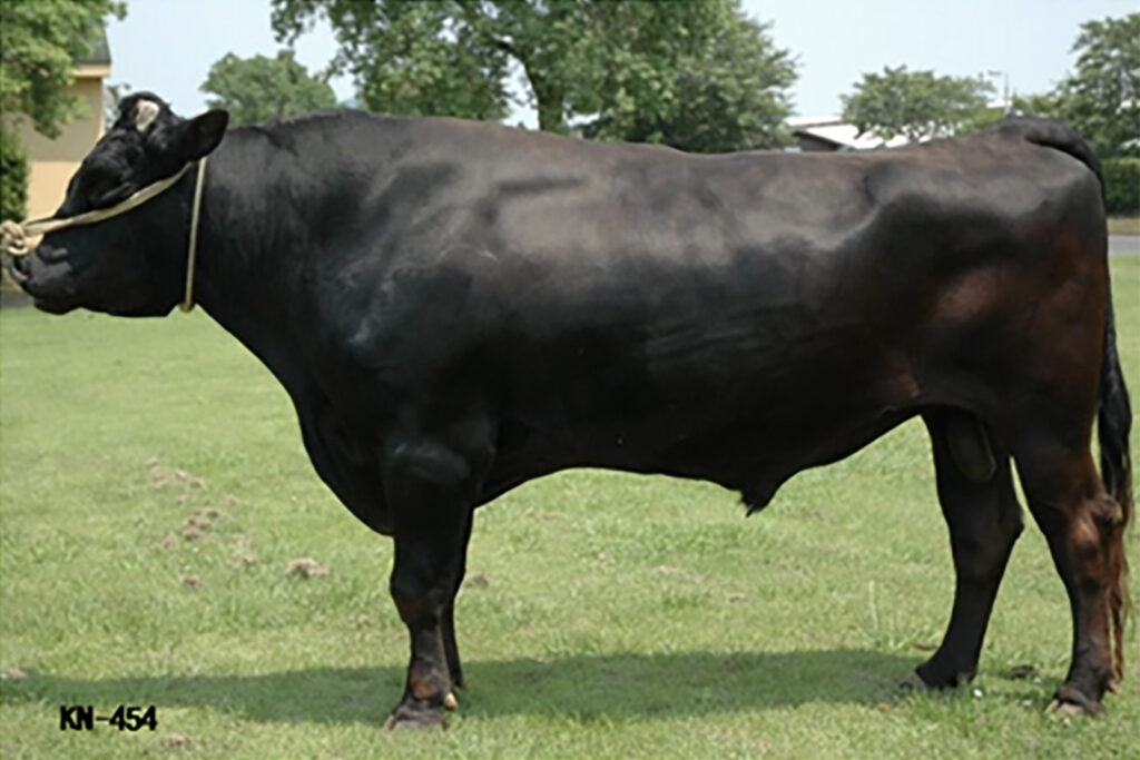 忠茂丸（ただしげまる）KN-454