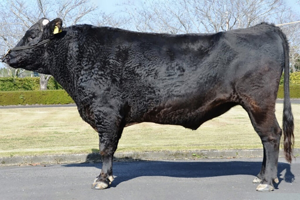 土瀬波（つちせなみ）KN-647