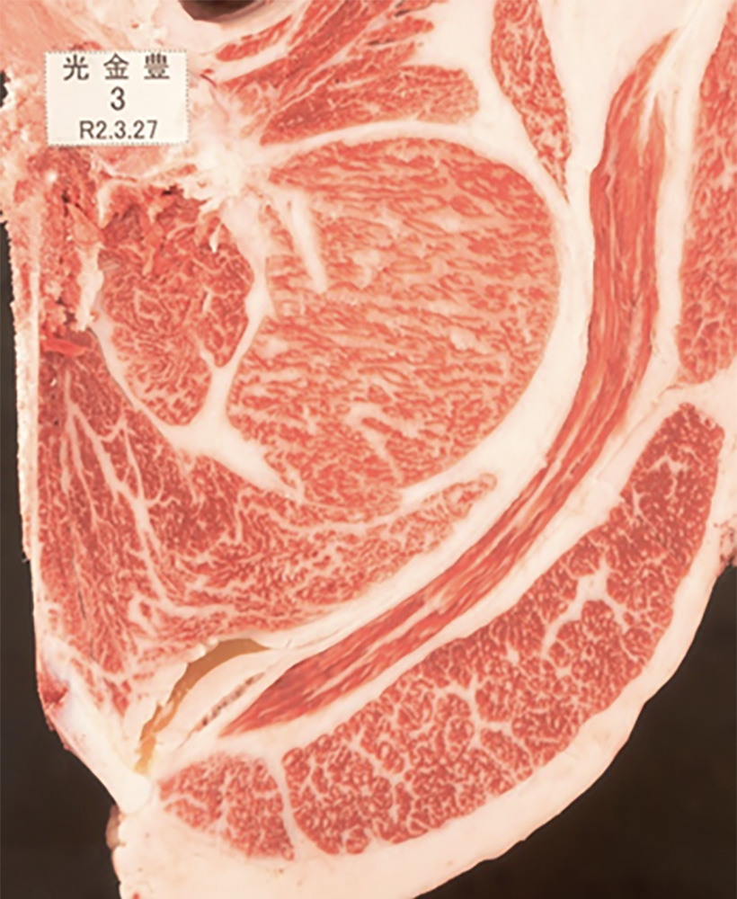 光金豊(みつかねとよ)KN-668