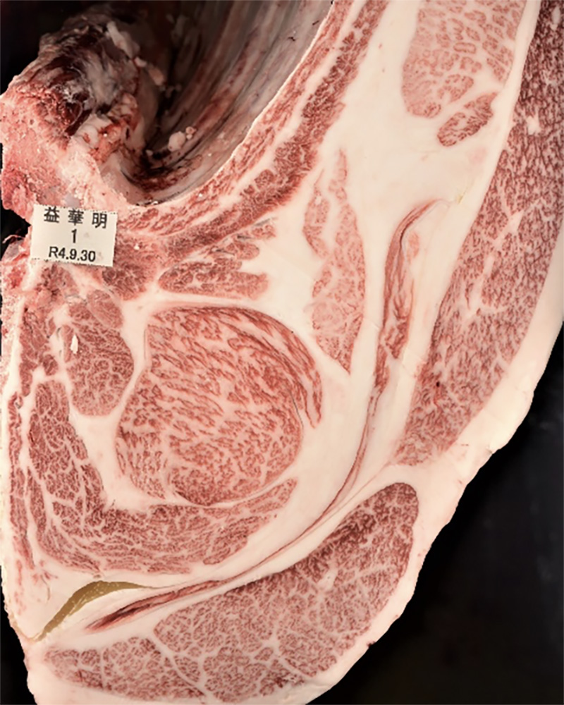 益華明（ますはなあき）KN-694