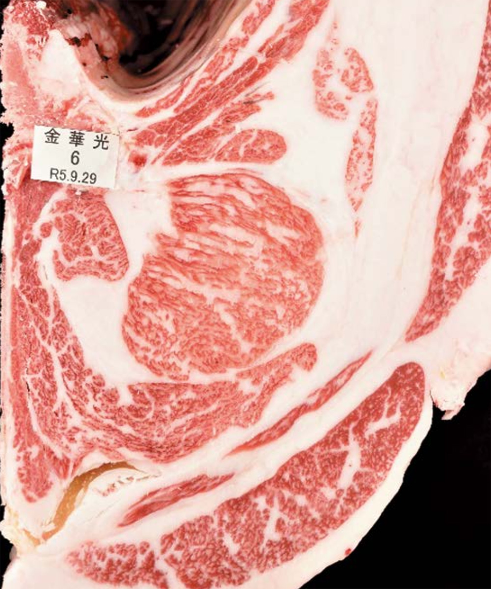 金華光（ひかりはなかね）KN-712