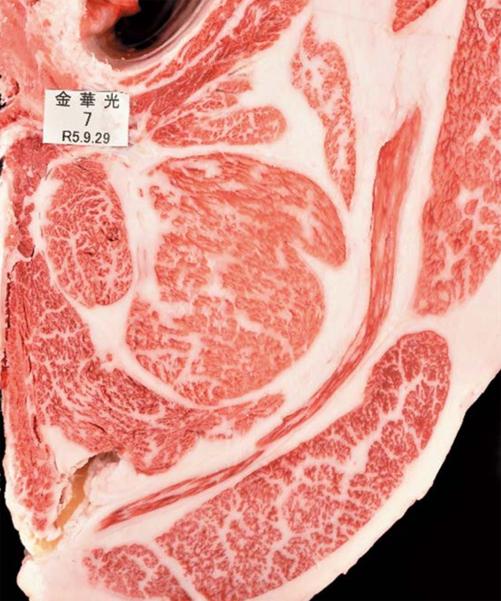 金華光（ひかりはなかね）KN-712