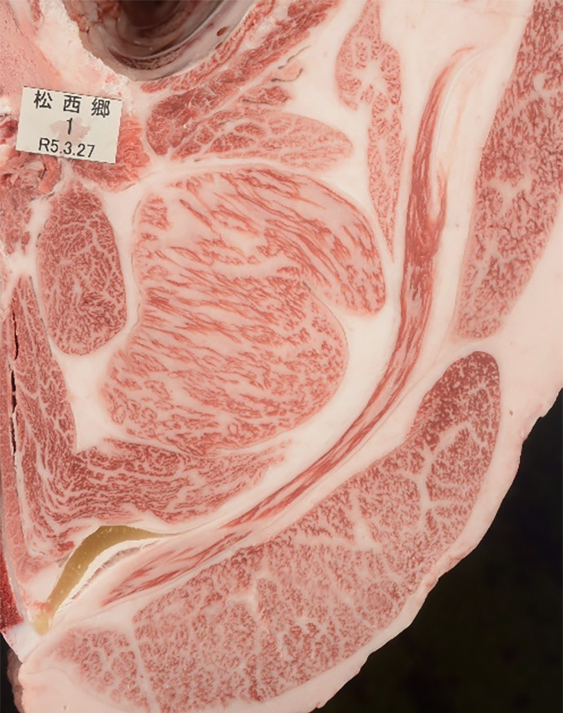 松西郷(まつさいごう)KN-720