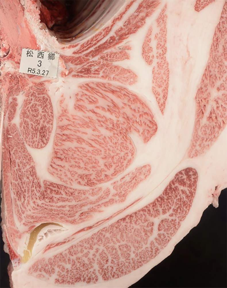 松西郷(まつさいごう)KN-720