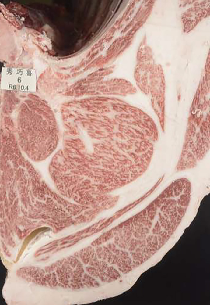 秀巧喜（ひでたくよし）KN-736