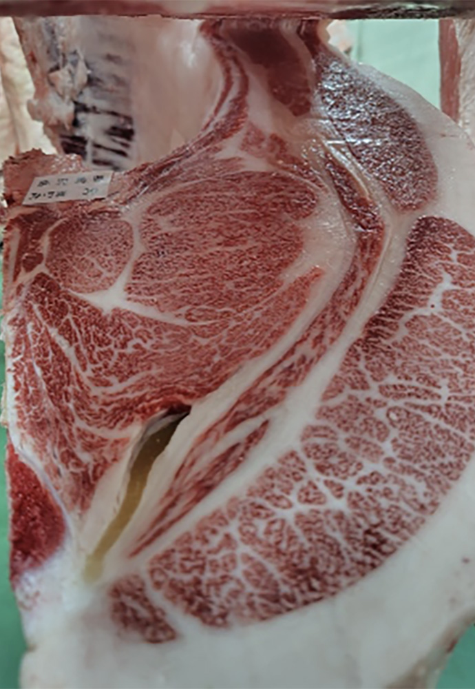 秀巧喜（ひでたくよし）KN-736