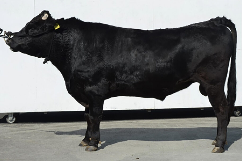 梅茂丸(うめしげまる)KN-752