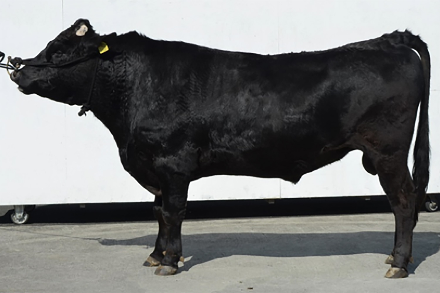 梅茂丸(うめしげまる)KN-752