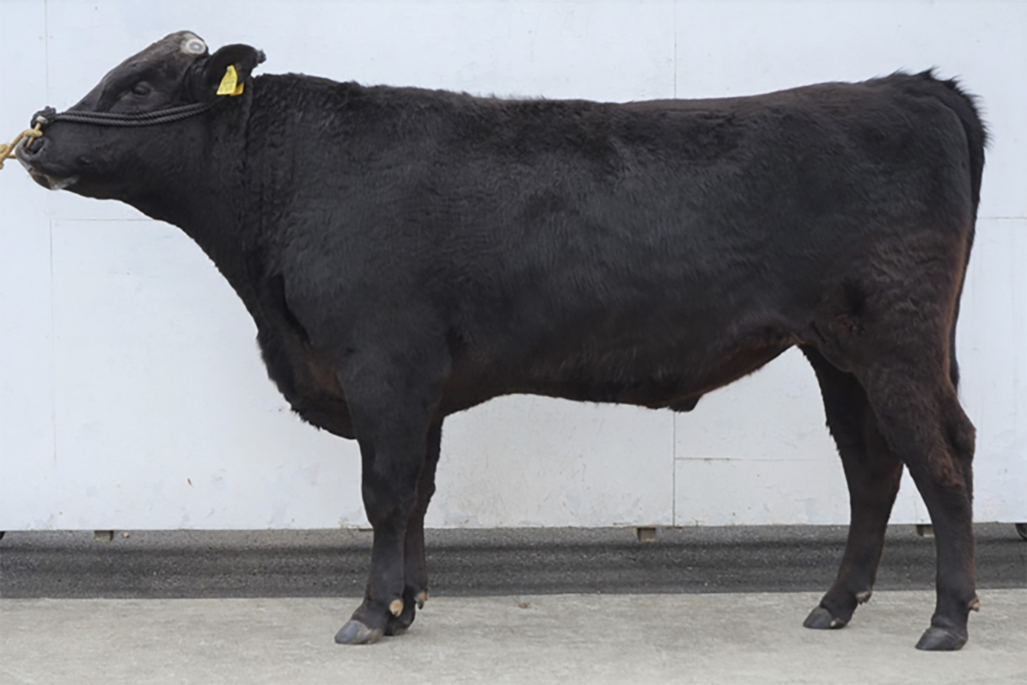 松茂丸(まつしげまる)KN-803