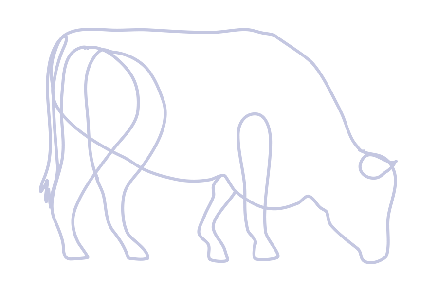 牛の線画