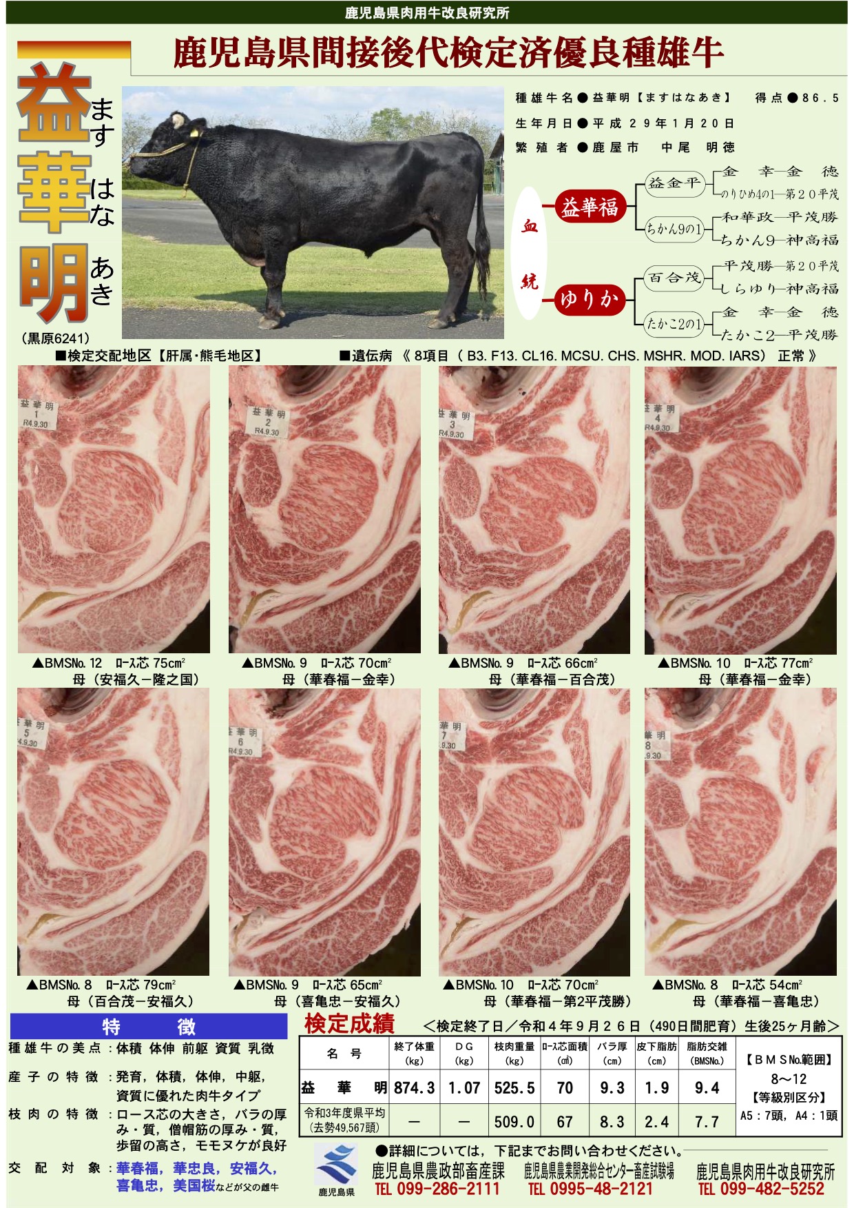 「益華明」の間接後代検定成績（R4.10）