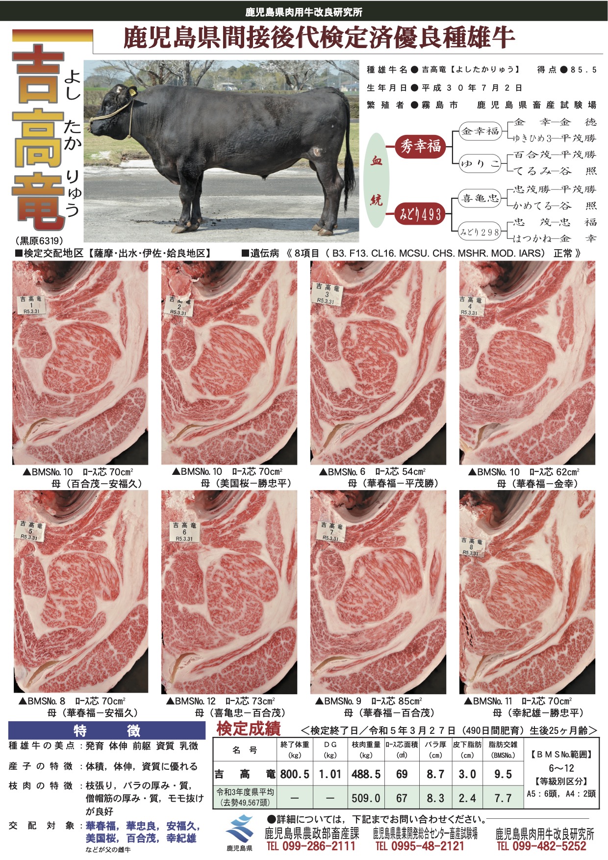 「吉高竜」の間接後代検定成績（R5.3）