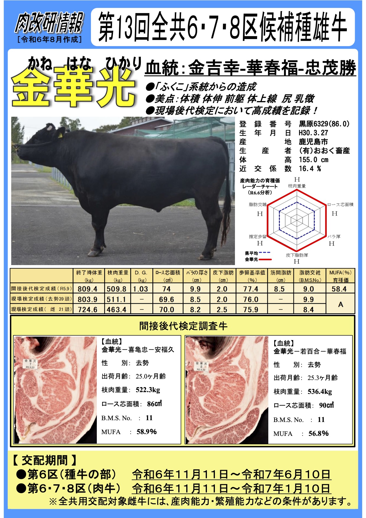 第13回全共6・7・8区候補種雄牛「金華光」（R6.9）